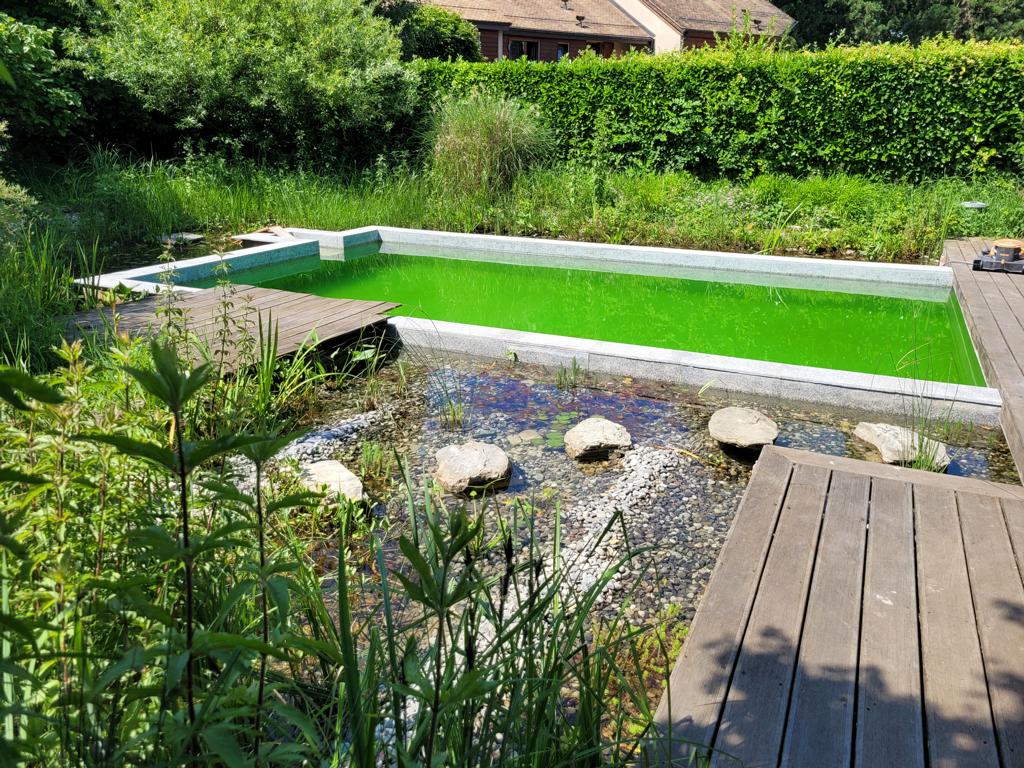 Pool umbauen